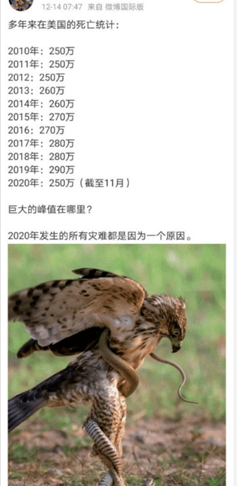 美国人口2019年死亡_美国人口思维导图