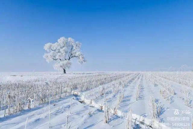 冰天雪地童话吉林