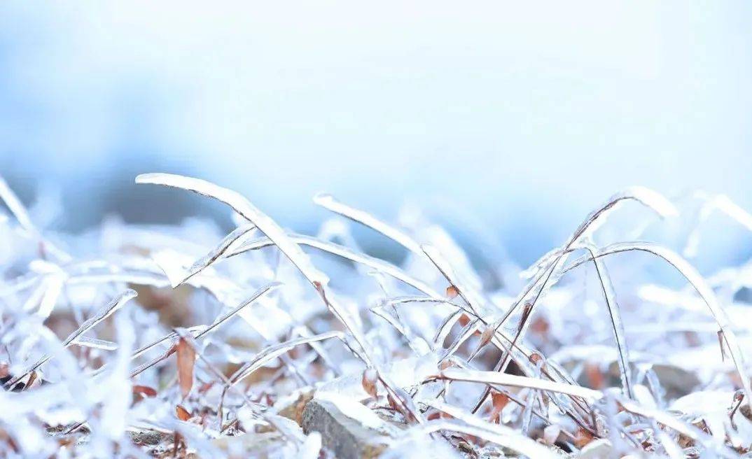 雪景图 视频↓新余这里下雪了!下一场雪预计在.