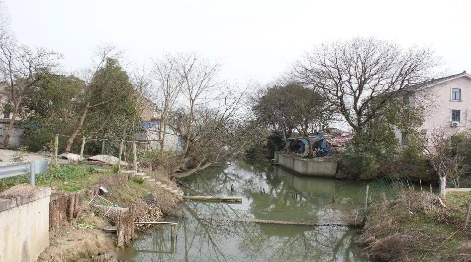 喜讯健康答卷拍了拍你尚湖镇建设江苏省健康镇通过省级考核评估