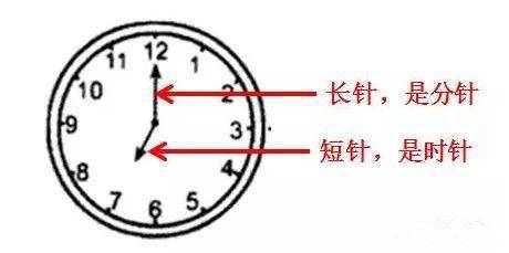 怎样快速认识钟表 17bd06f0f5e843ad8243f7464faebcbd.jpeg
