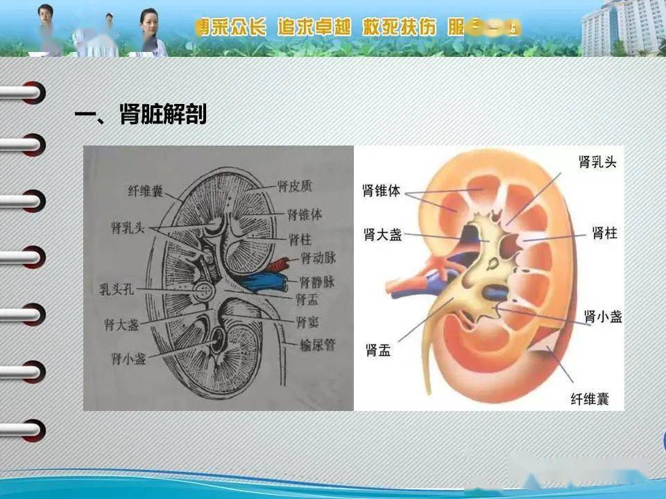 髓质海绵肾的影像诊断