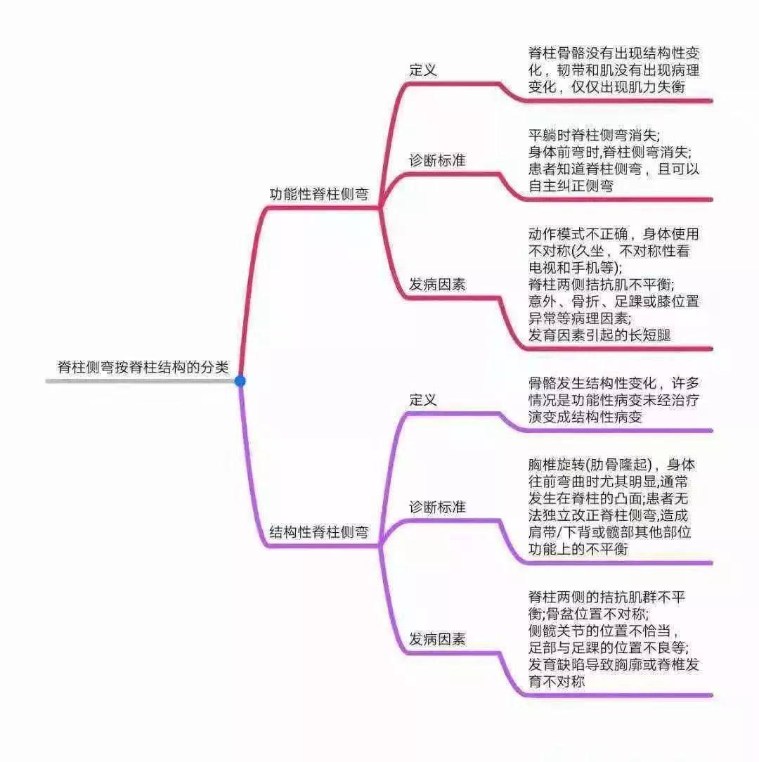 体形矫正全身异常体态姿势解剖学分析思维导图