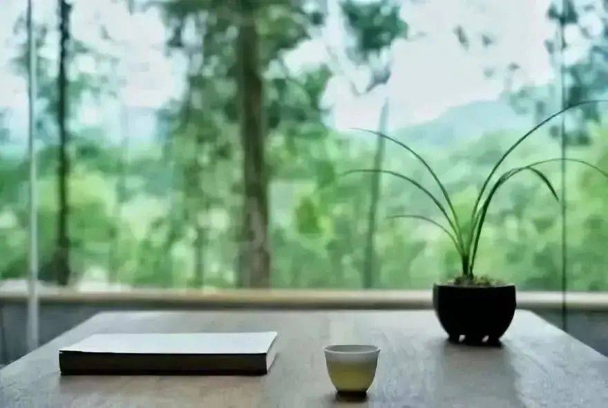 古训:静坐常思己过,闲谈莫论人非