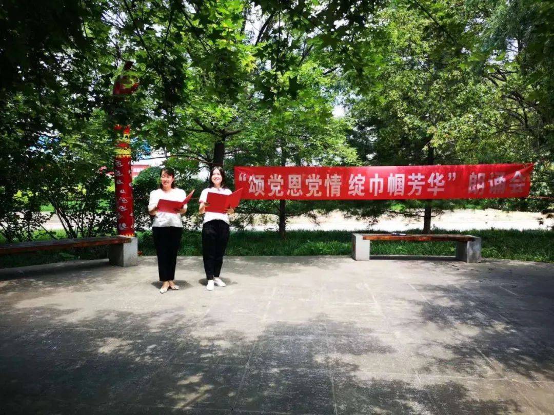 社区人口普查主题党日活动(2)
