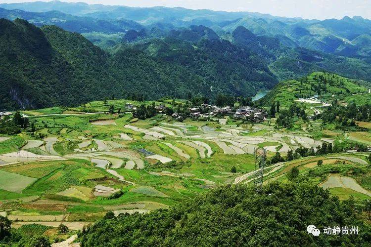 三穗各乡镇gdp_大谷三穗