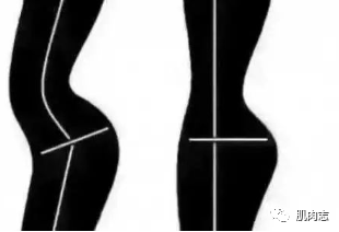 瘦但是小腹突出 26667e8747bf4b56a56b7827408afd7e.png