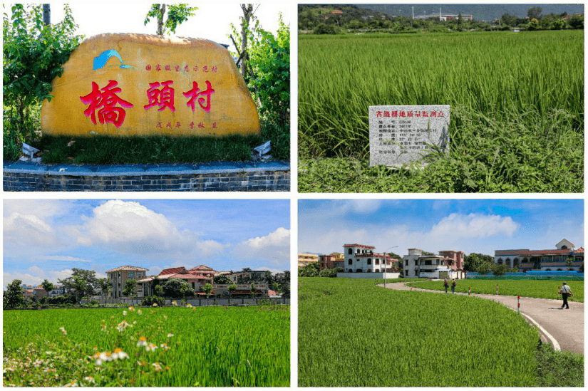 国家级生态示范村——三乡桥头村