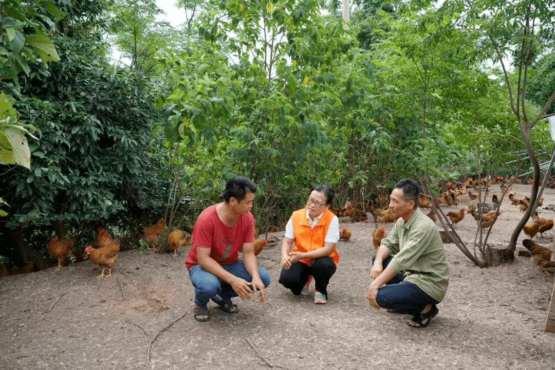 村"两委"成员眼中雷厉风行,敢想敢为的潘素华还致