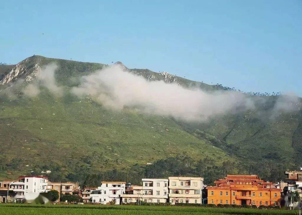 2021广东省罗定市gdp_广东省罗定市风景(3)