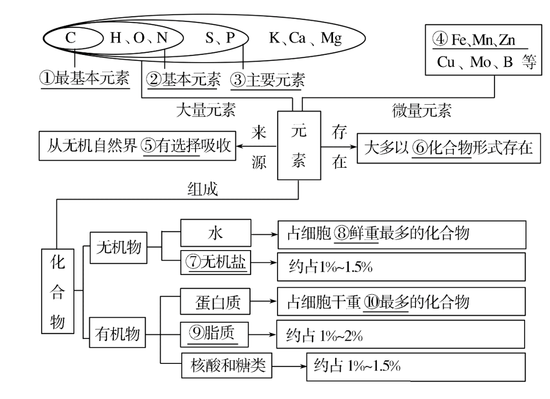 高考生物一轮复习 | 分子与细胞思维导图专题汇总汇总