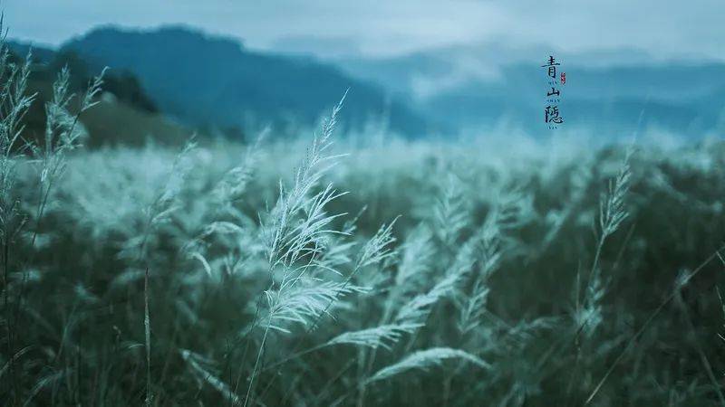 竟然还有濒临于失传琴曲.