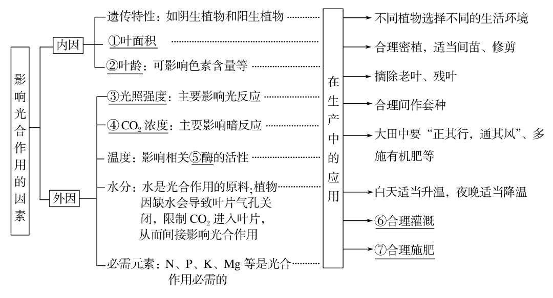 高考生物一轮复习分子与细胞思维导图专题汇总汇总