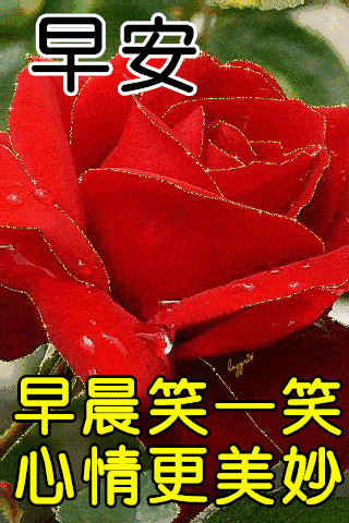 12月25日最漂亮早上好动态表情图片大全,早晨好动图美图大全