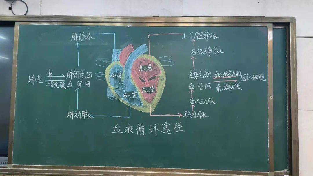 教案中的板书设计模板_桃花源记教案板书_数学板书技能微格教案模板