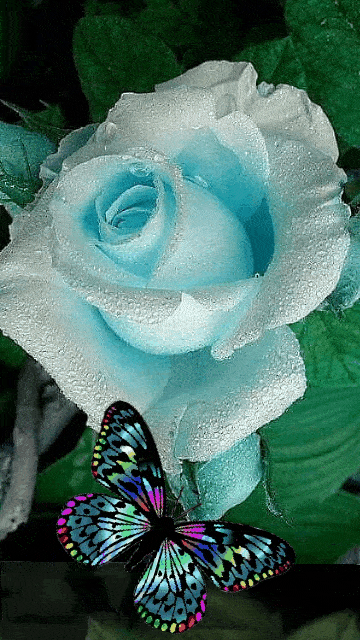 360_640 竖版 竖屏