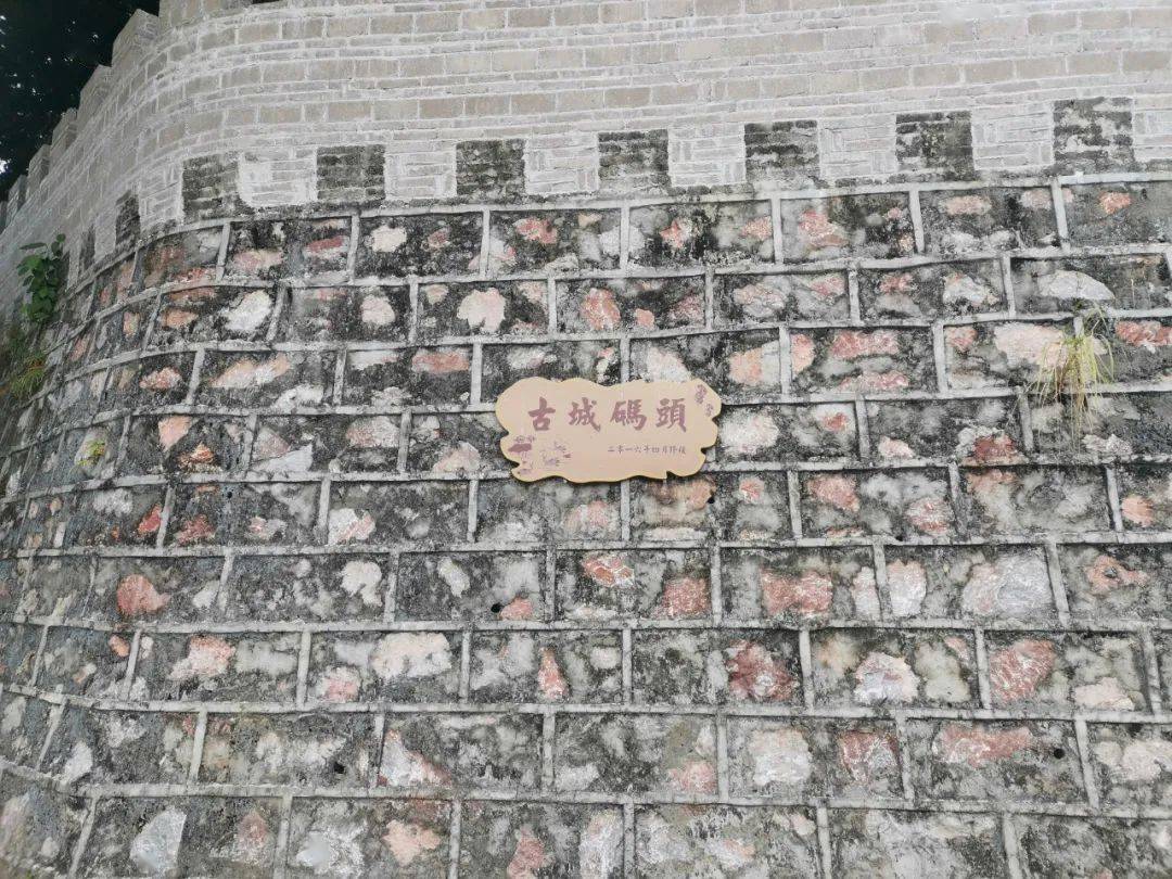 2021广东省罗定市gdp_广东省罗定市风景(3)