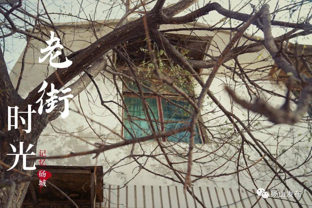 是平凡生活的柴米油盐