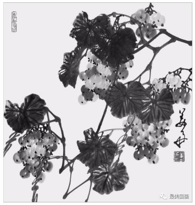 图文教程葡萄的画法