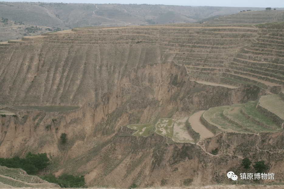 镇原县古遗址:郭塬乡景塬行上庄庙岭山遗址