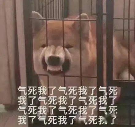 80c833c2d06e41608098ed153eb88e1f.jpeg