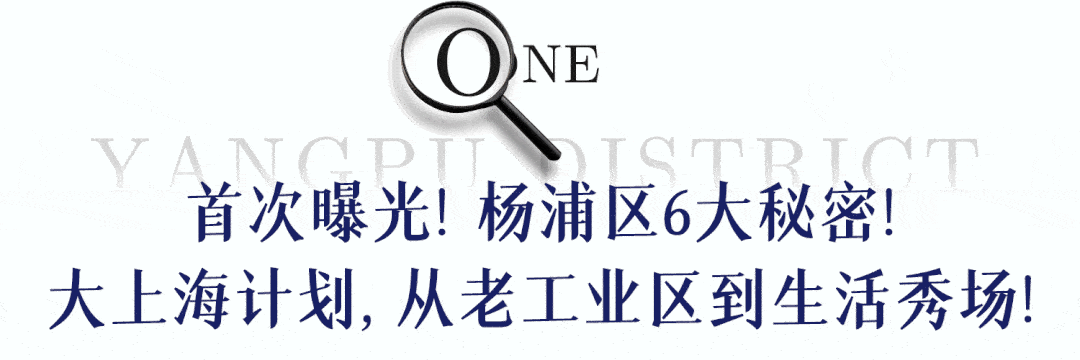 主要为银行,海关,连着石库门,代表西方文明的图书馆,博物馆,体育场等