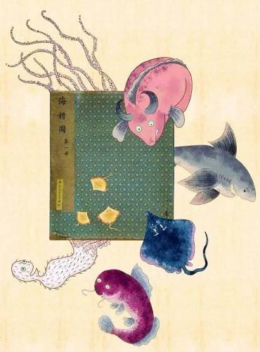 清宫《海错图》是一部记录了300余种海洋生物,海产品的绘卷,共四册