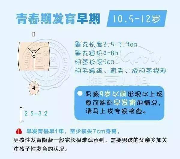 男孩发育的标志冬季为了保暖孩子大多穿的较厚,家长较难发现孩子有早