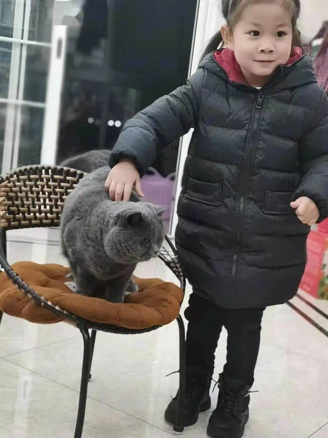 神秘小猫的视频 25d1aaec51b74b41bc2fb88325ff7d6f.jpeg