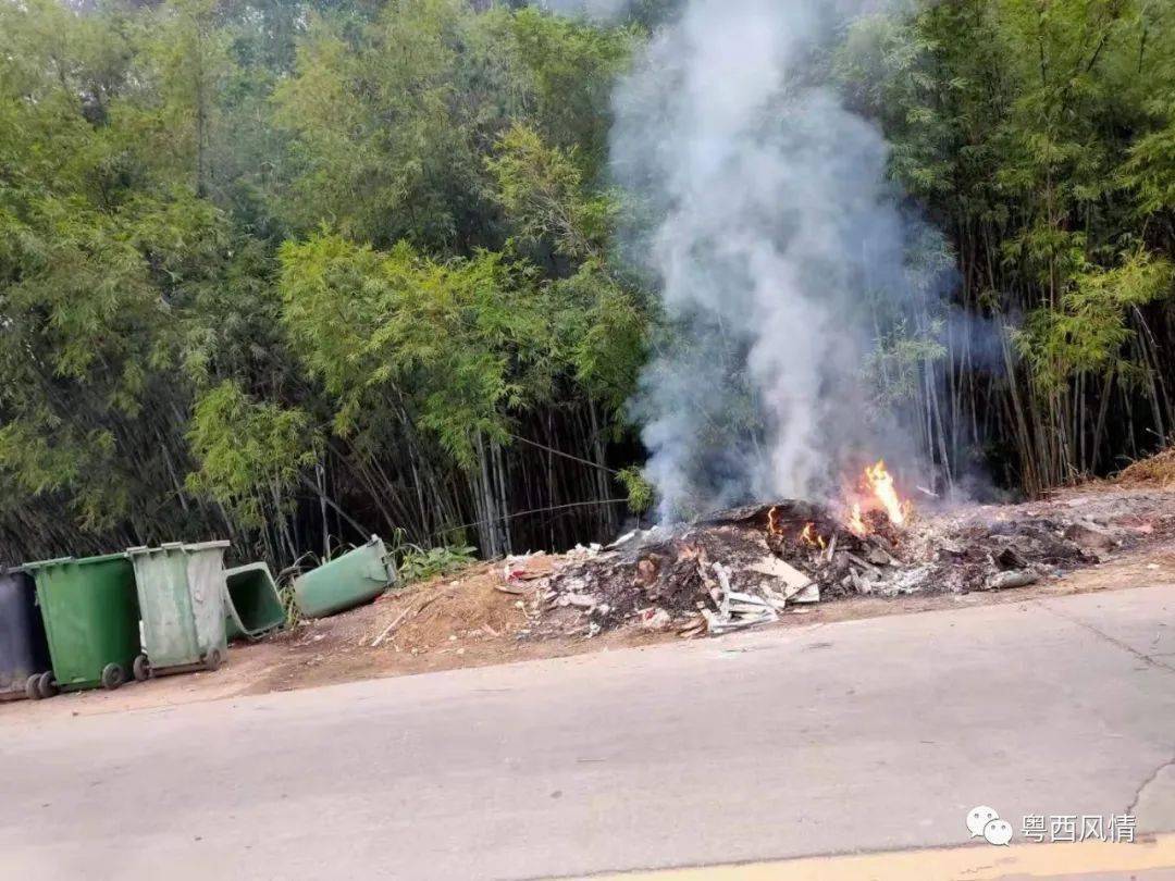 信宜白坡村委对出路段露天垃圾焚烧场