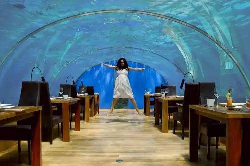 马尔代夫康拉德的Ranlifinolhu岛上的全玻璃海底水下餐厅值得一去