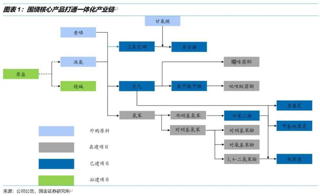 国金化工公司深度广信股份依托光气资源持续优化产业链布局20201229