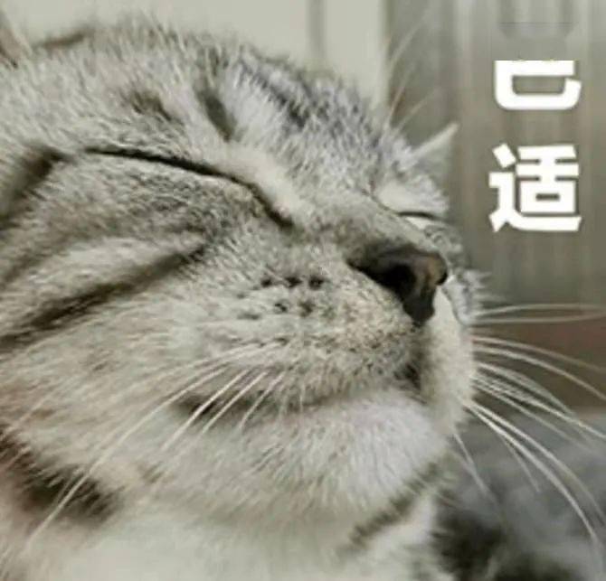 方言回忆,这有你的家乡方言吗?