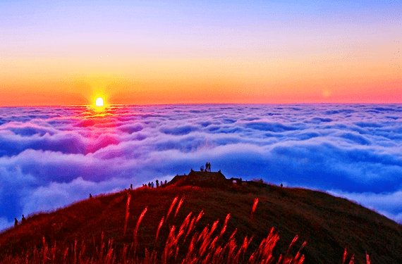 什么时候才能出现云海日出 2e733a68bcb14d8abdb93d4a2ec66f6f.png