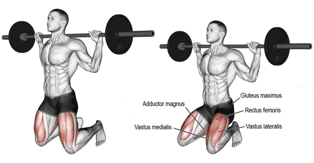 30张下半身肌肉训练图谱,一次看懂哪个动作练哪块肌肉