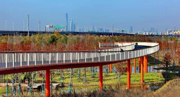 上海浦东：为市民打造“最美绿地”