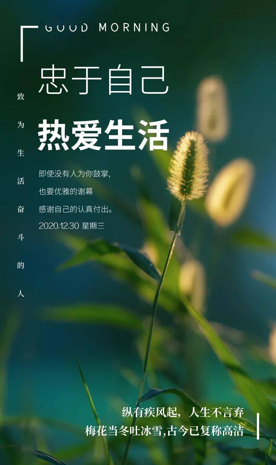 新的一天开始,要继续勇敢追梦,为爱付出,拒绝懒惰,不轻言放弃,愿时光