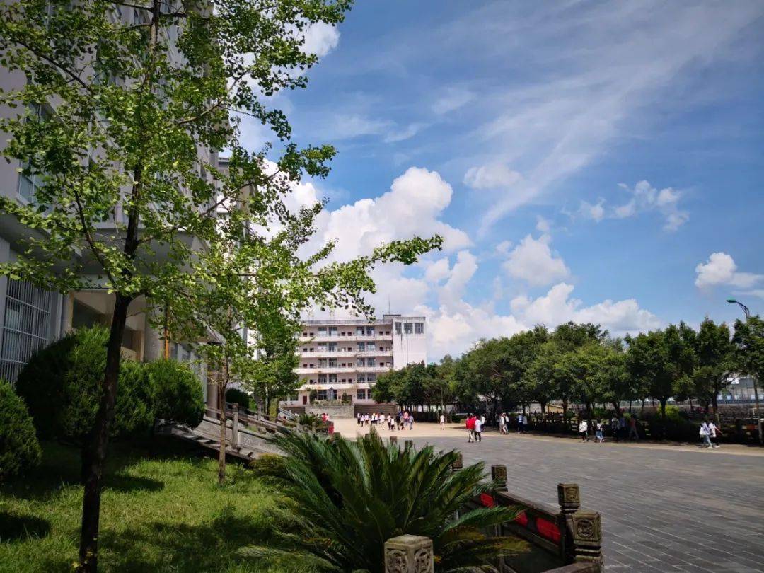 云南总人口有多少2021_云南兰益松多少度(3)