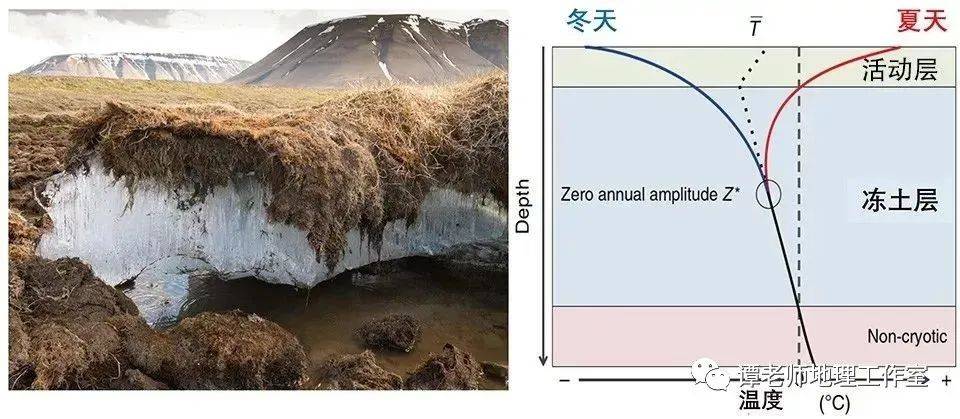 西伯利亚的多年冻土的年代距今也有10万年】在间冰期时,虽然在许多