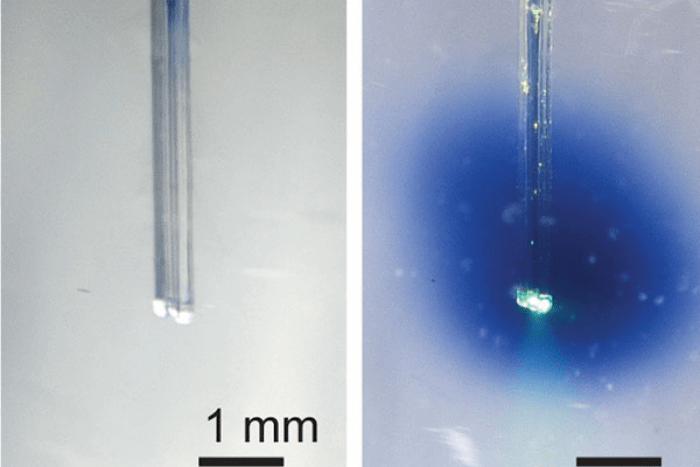 MIT科学家研究通过光激活药物实现精准治疗 1 MIT科学家研究通过光激活药物实现精准治疗