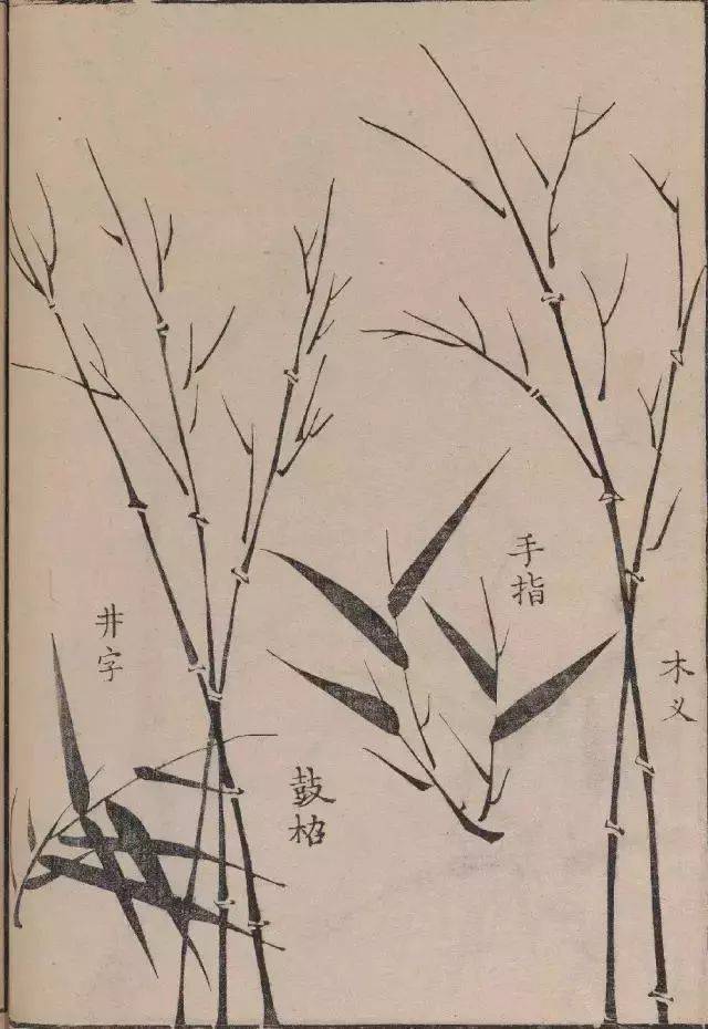 芥子园原版竹谱_画谱