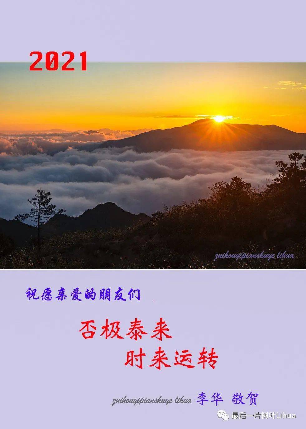 2021--否极泰来_手机搜狐网