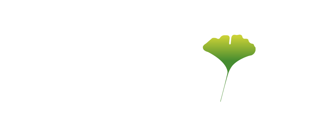 「九九归一」回顾你与飞依诺一起走过的2020