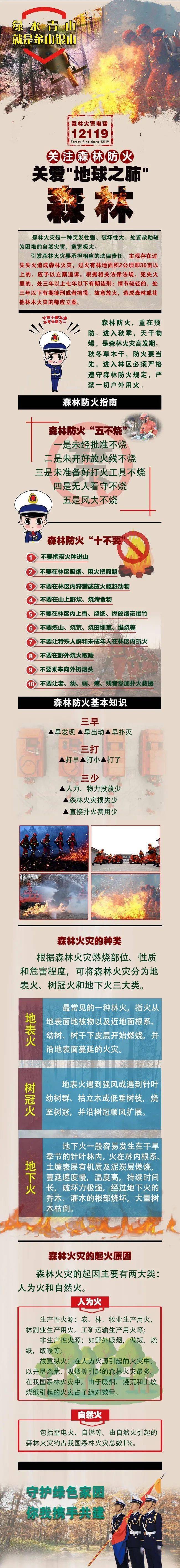 高明区各镇GDP2020年_2020年,高明各镇街将这样发展!