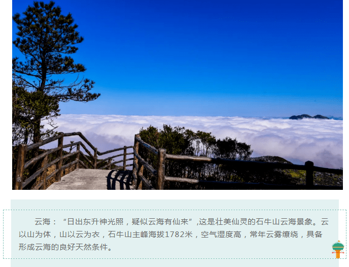 【金牛聚福 】打卡"天空之心"玻璃观景台~德化石牛山邂逅雾凇(汽车)1