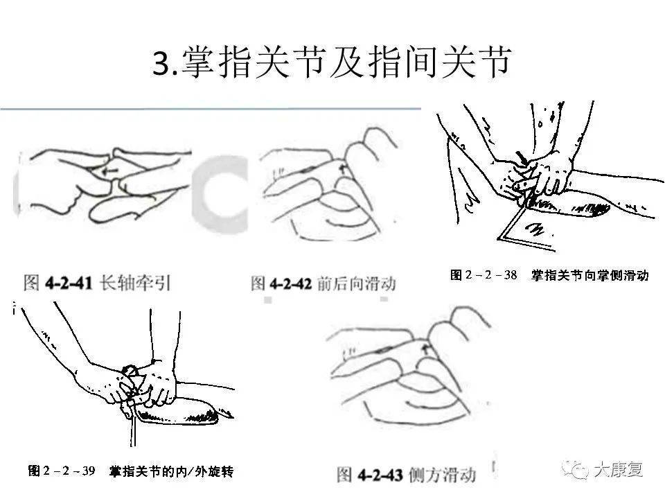 关节松动术手法分级及具体应用