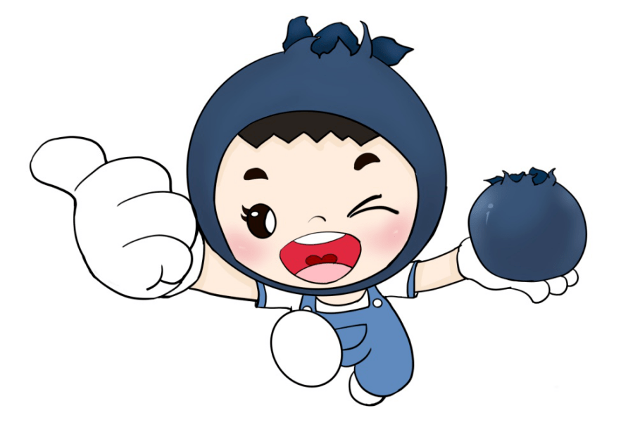 蓝莓兄妹: 山蓝水美
