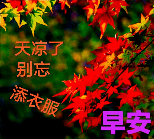 朋友圈经典早安暖心问候祝福短信,微信早晨好图片带字