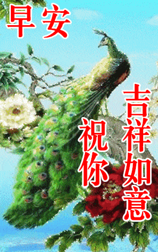 320_510 竖版 竖屏