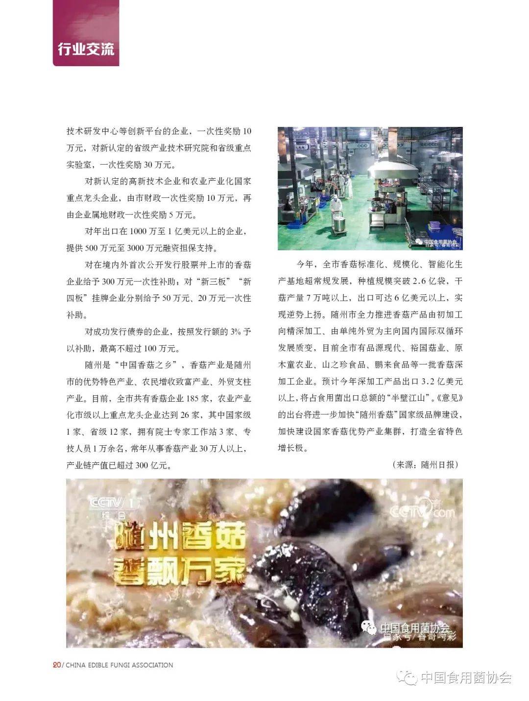 食用菌招聘_食用菌信息月刊 2021年3月第3期总第429期(3)